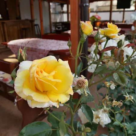 Hotel Ryor - Breakfast And Free Parking