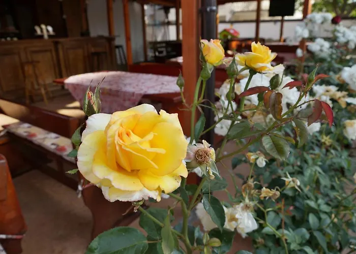 Hotel Ryor - Breakfast And Free Parking